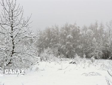 Zdjęcie ogłoszenia