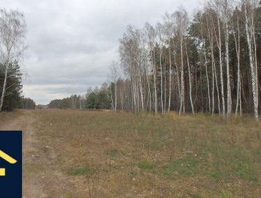 Zdjęcie 14563051 - 3