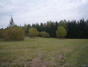Zdjęcie ogłoszenia