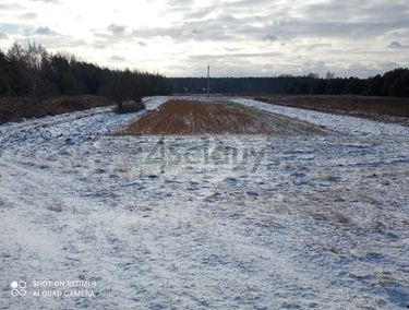 Zdjęcie 14619425 - 2