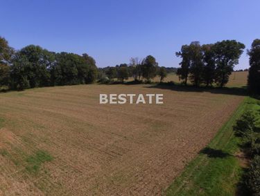 Zdjęcie 14688585 - 5
