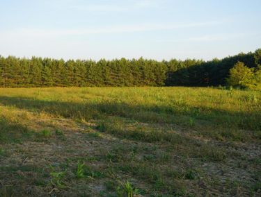 Zdjęcie ogłoszenia