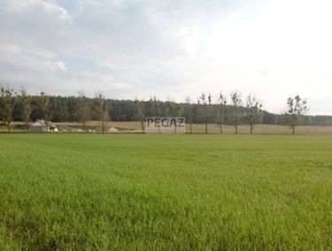 Zdjęcie 14711851 - 4