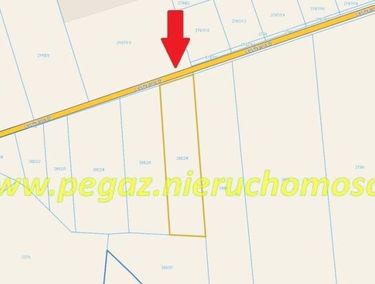 Zdjęcie 14711854 - 5
