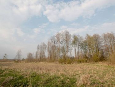 Zdjęcie 14711858 - 3