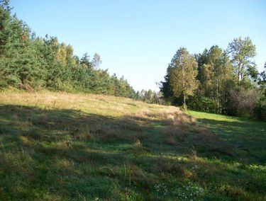 Zdjęcie ogłoszenia