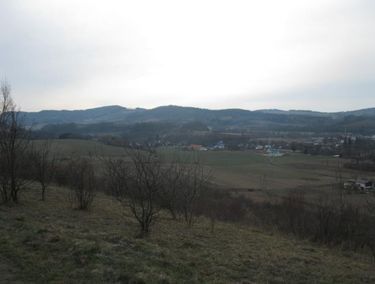 Zdjęcie ogłoszenia