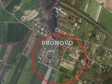 Zdjęcie ogłoszenia