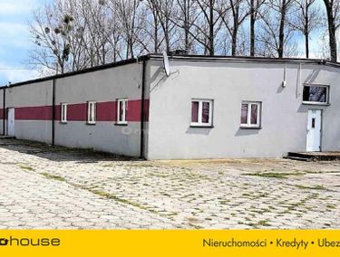 Zdjęcie 14814070 - 1