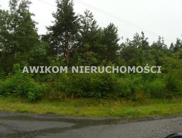 Zdjęcie ogłoszenia
