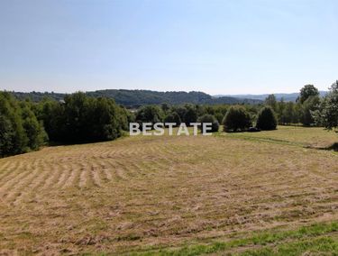 Zdjęcie 14930701 - 4