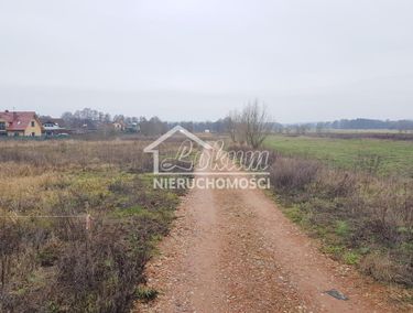 Zdjęcie 14939903 - 6
