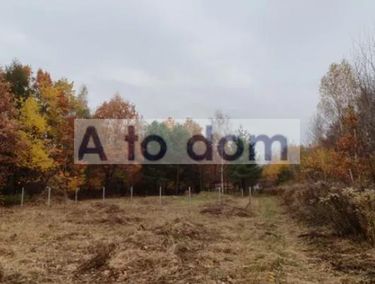 Zdjęcie ogłoszenia