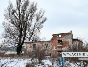 Zdjęcie ogłoszenia