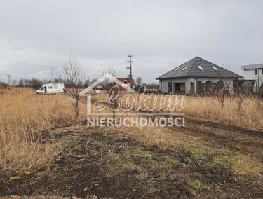 Zdjęcie 15100169 - 2