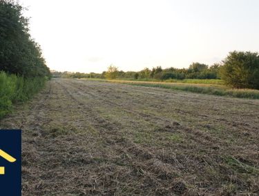 Zdjęcie ogłoszenia