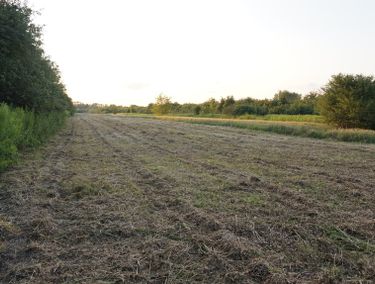Zdjęcie ogłoszenia