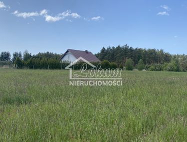 Zdjęcie 15136341 - 3