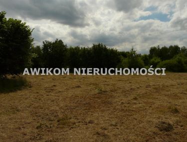 Zdjęcie ogłoszenia