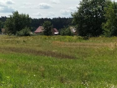 Zdjęcie 15208715 - 3
