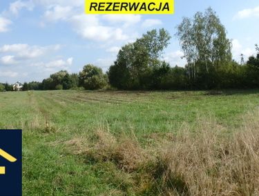 Zdjęcie 15218531 - 1