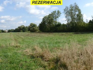 Zdjęcie ogłoszenia