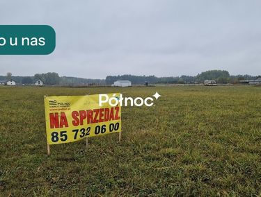 Zdjęcie 15219245 - 5