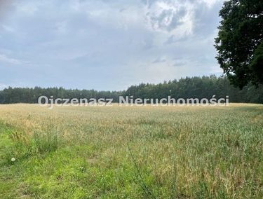 Zdjęcie ogłoszenia