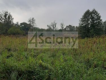 Zdjęcie 15259980 - 1