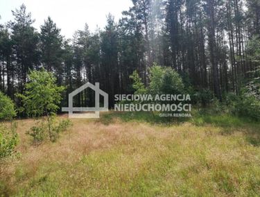 Zdjęcie ogłoszenia