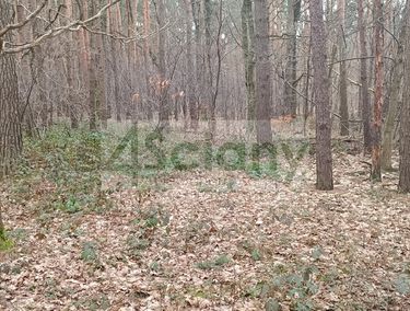 Zdjęcie 15310184 - 4