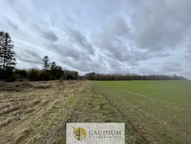 Zdjęcie ogłoszenia