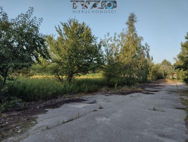 Zdjęcie ogłoszenia