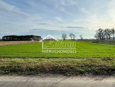 Zdjęcie 15352304 - 1
