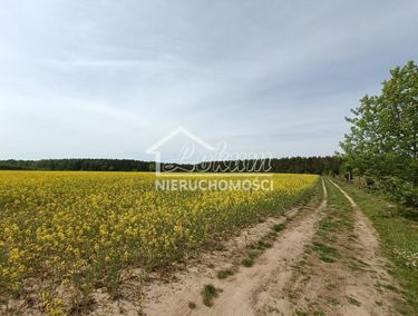 Zdjęcie 15357360 - 1