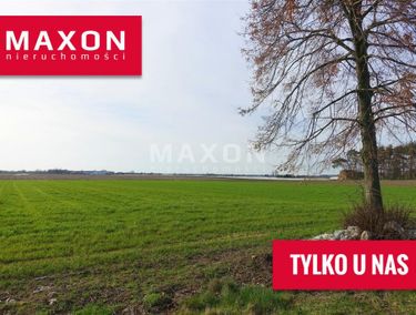 Zdjęcie 15373084 - 5