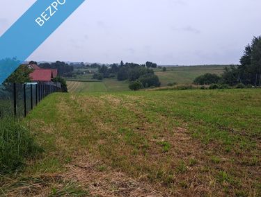 Zdjęcie 15409401 - 3
