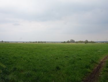 Zdjęcie ogłoszenia