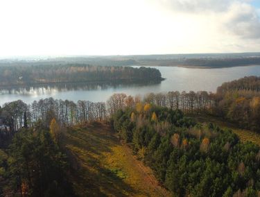 Zdjęcie ogłoszenia