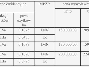 Zdjęcie 15445616 - 1