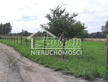 15462765 - zdjęcie ogłoszenia