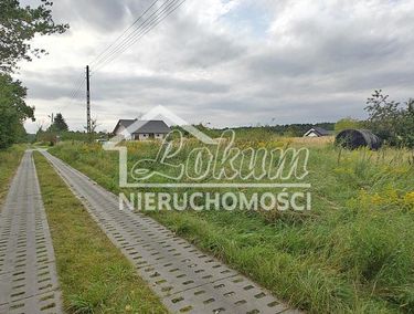 Zdjęcie 15465227 - 6