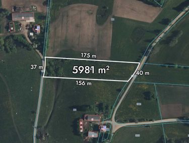 Zdjęcie ogłoszenia