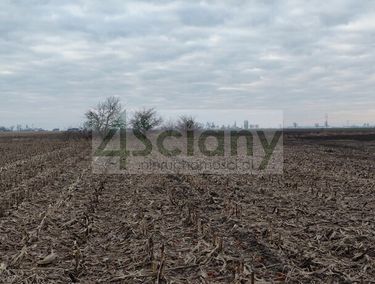 Zdjęcie 15577176 - 9