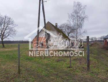 Zdjęcie 15580418 - 2