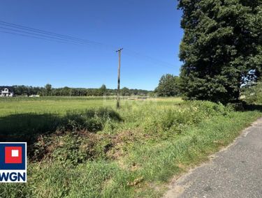 Zdjęcie 15582083 - 3
