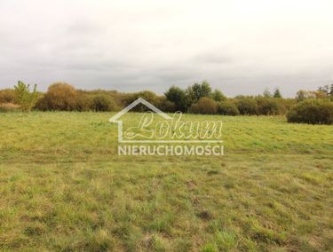15583745 - zdjęcie ogłoszenia