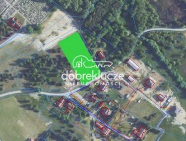 Zdjęcie 15595592 - 5