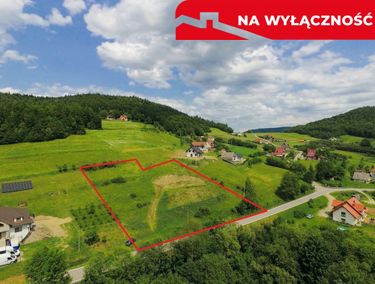 Zdjęcie ogłoszenia