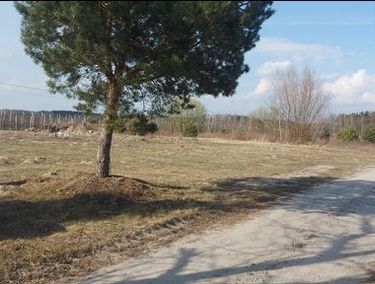 Zdjęcie ogłoszenia